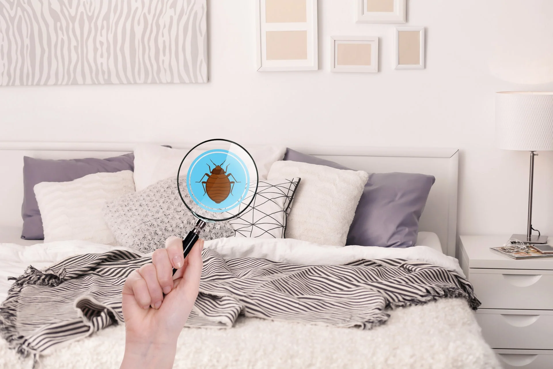 bedroom-allergy
